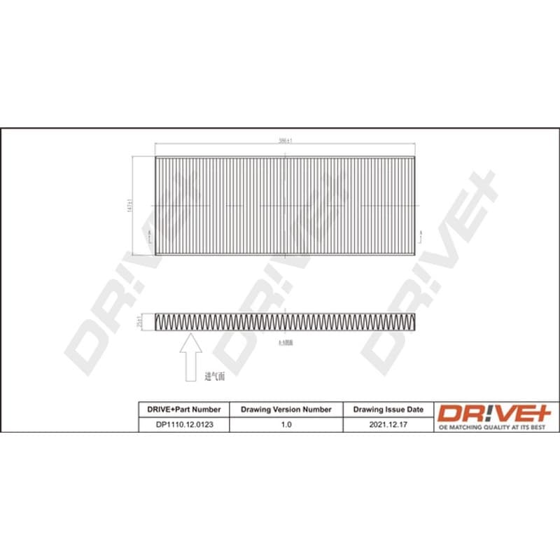 DRVE filtras, salono oras DP1110.12.0123