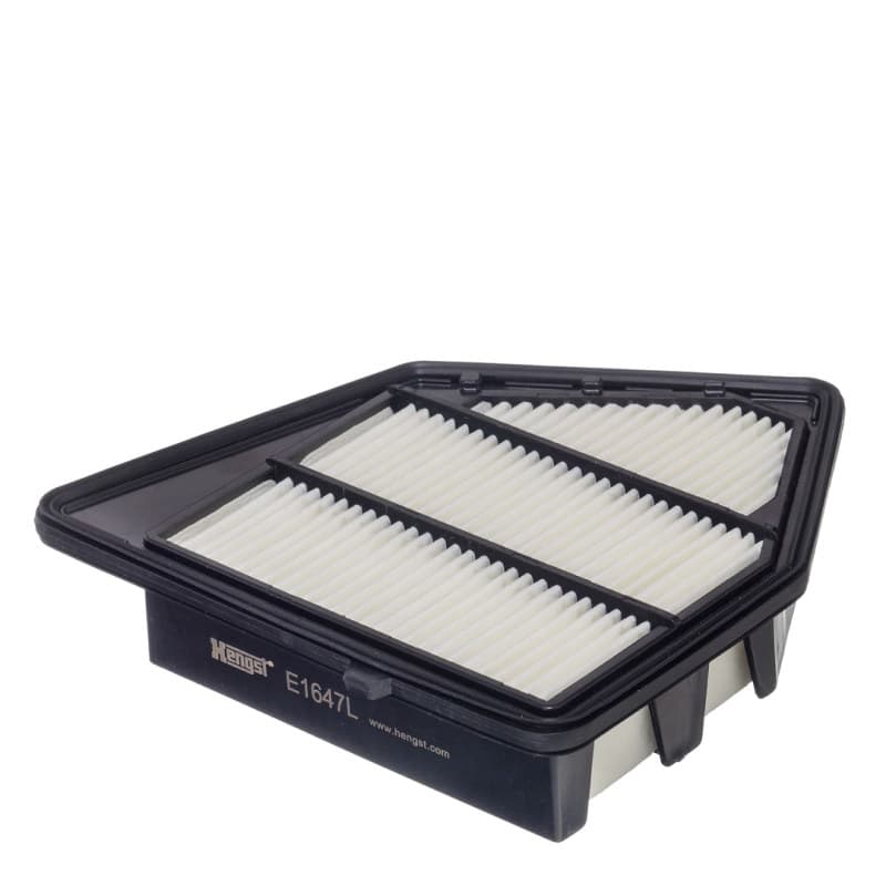 HENGSTFILTER oro filtras E1647L