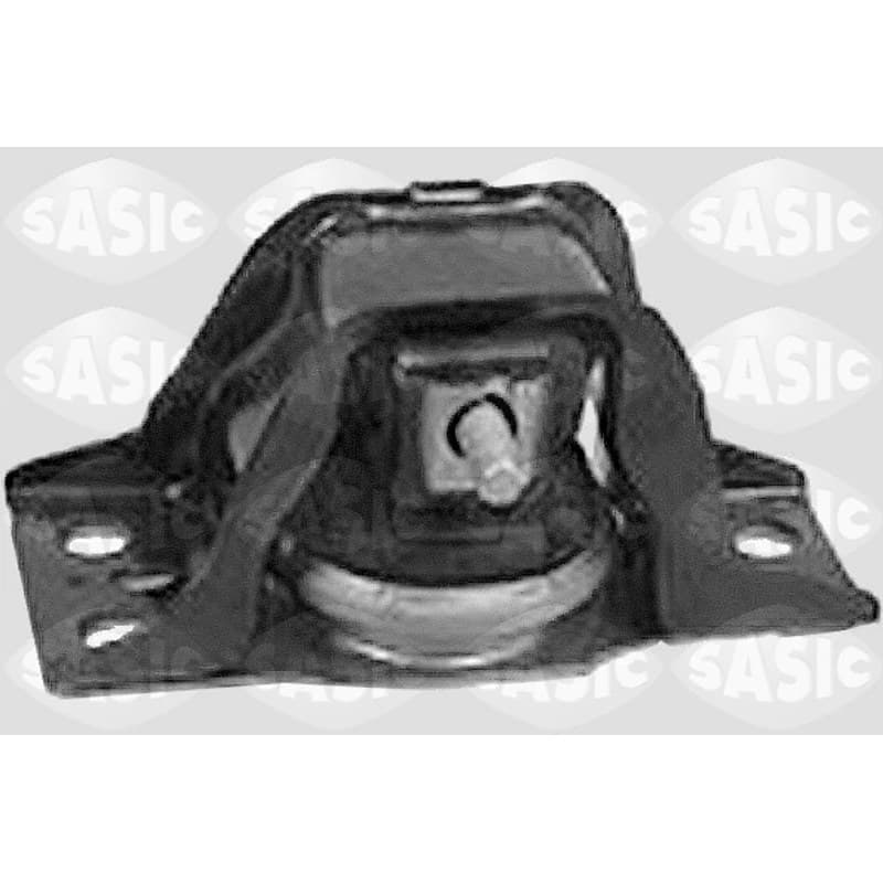 SASIC variklio montavimas 4001828