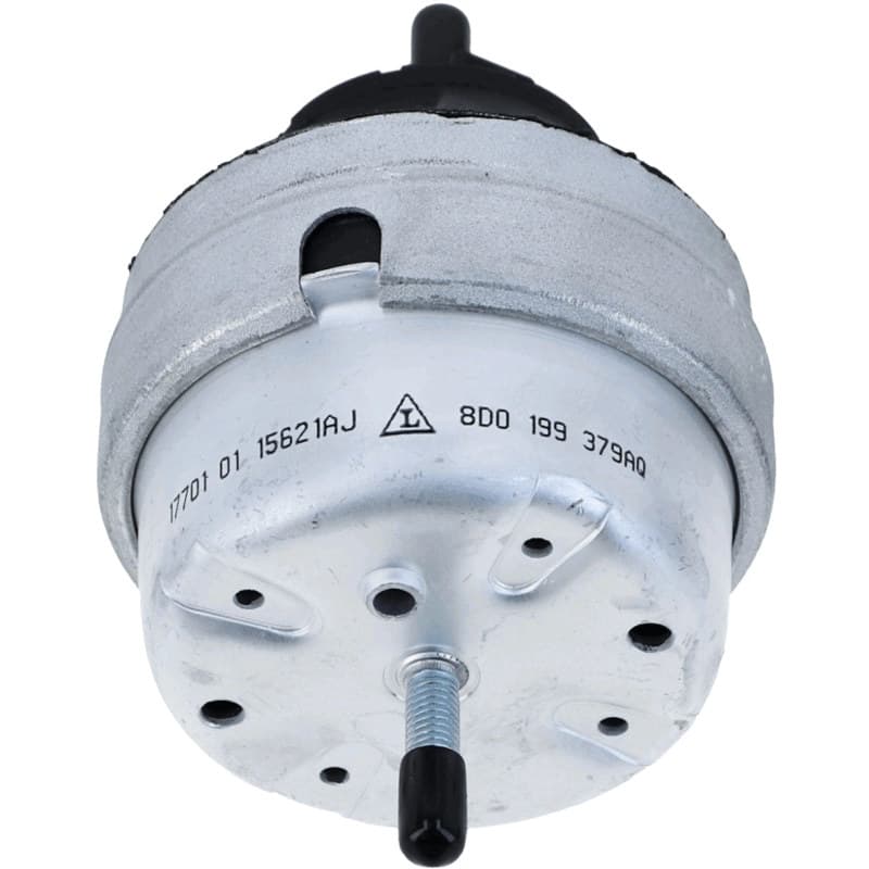 LEMFRDER Variklio montavimas 17701 01