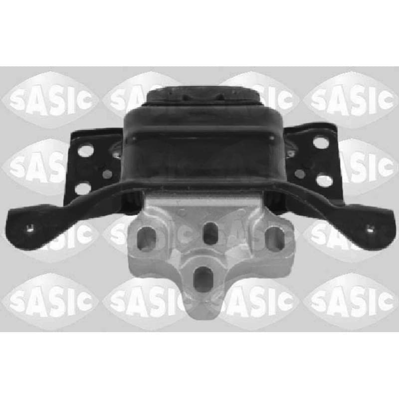 SASIC variklio montavimas 2706163