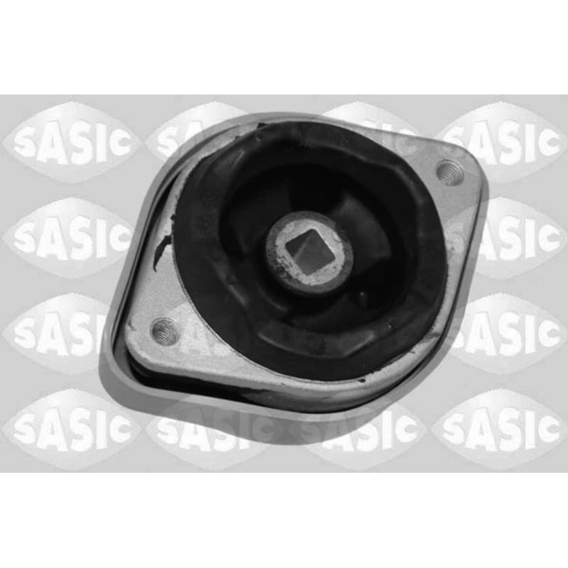 SASIC variklio montavimas 2706183