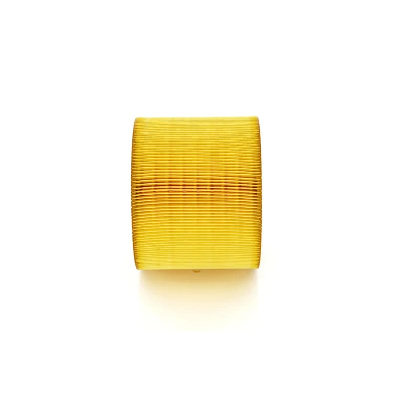 BOSCH 1 457 433 590 oro filtras
