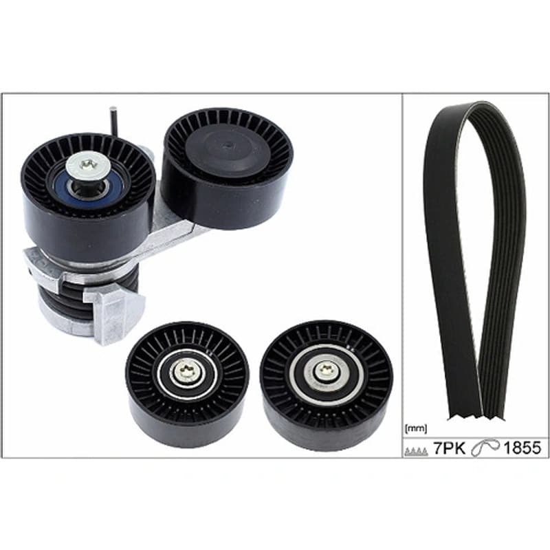 SCHAEFFLERINA V formos rumbuotas diržas, komplektas 529 0495 10