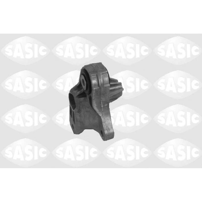 SASIC variklio montavimas 2706013