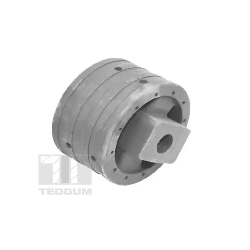 TEDGUM variklio montavimas 00741004