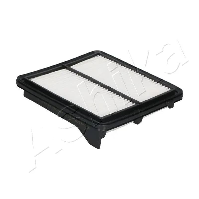 ASHIKA 20-04-450 oro filtras