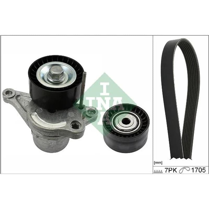 SCHAEFFLERINA V formos rumbuotas diržas, komplektas 529 0423 10