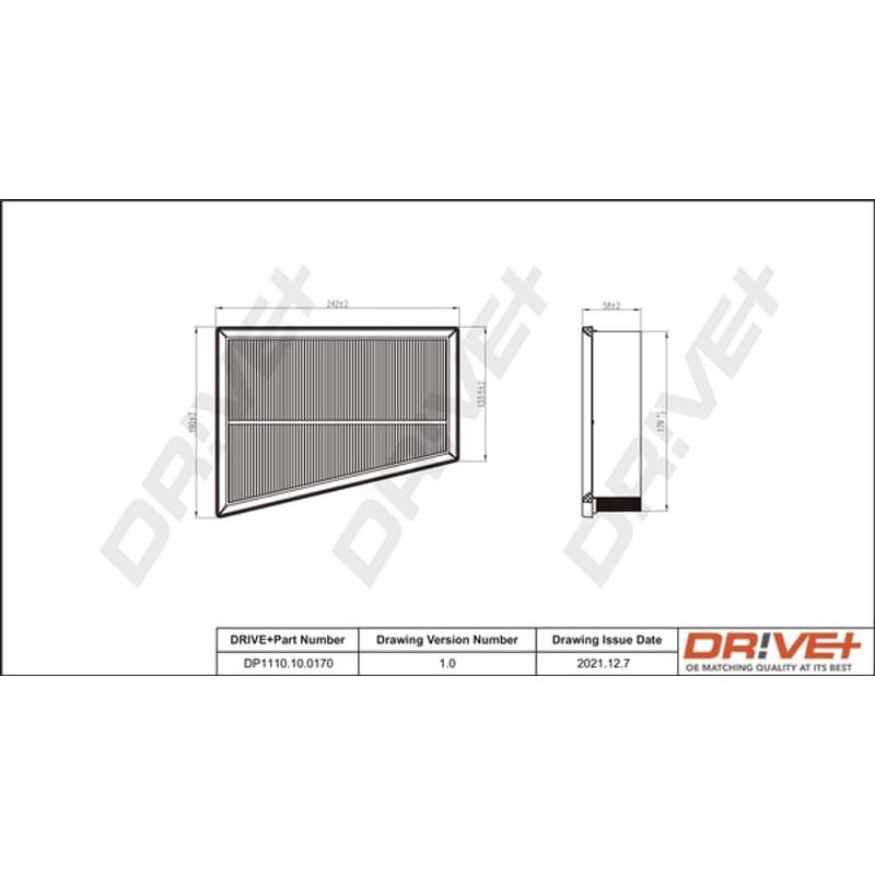 DRVE DP1110.10.0170 oro filtras