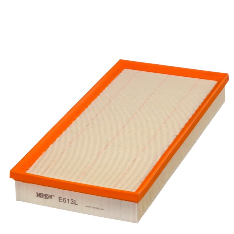 HENGSTFILTER oro filtras E613L