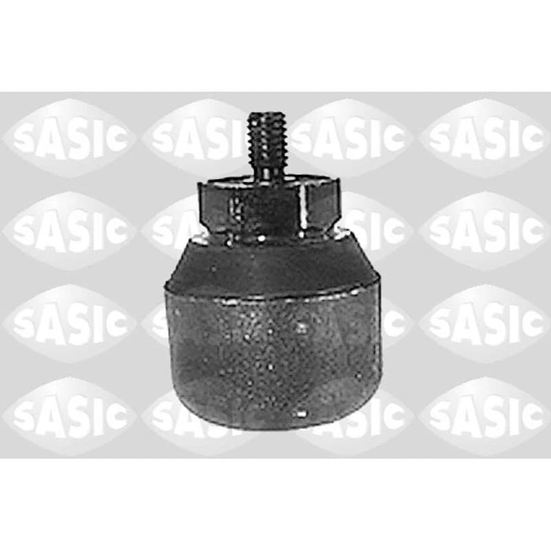 SASIC variklio montavimas 8441491