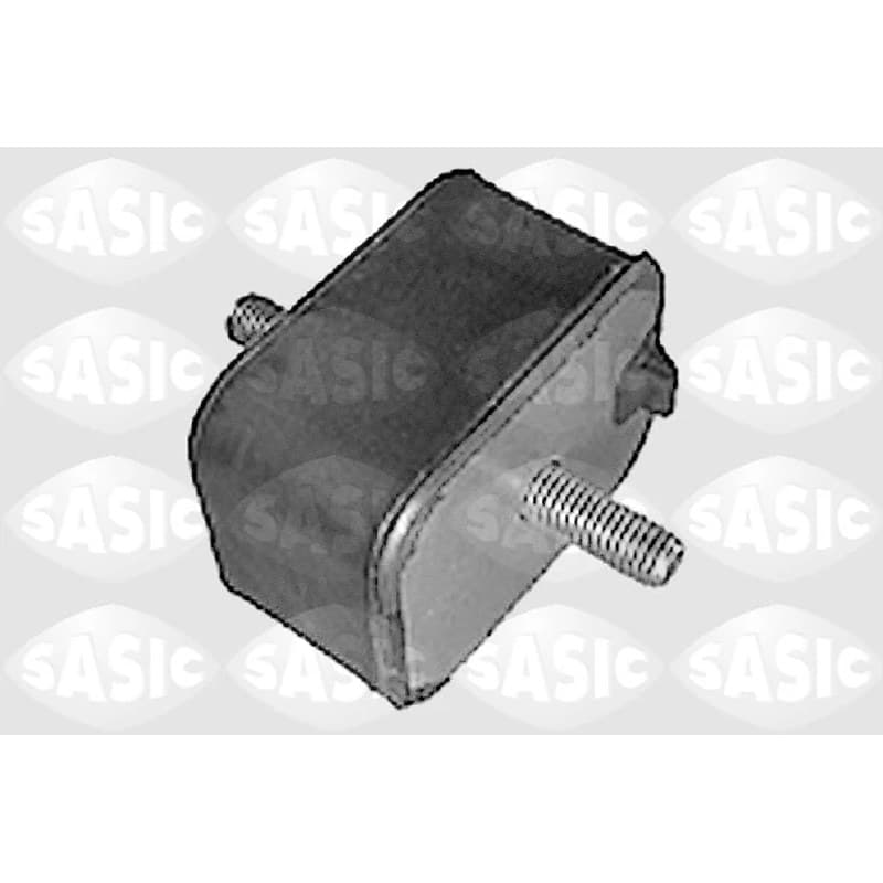 SASIC variklio montavimas 9001354