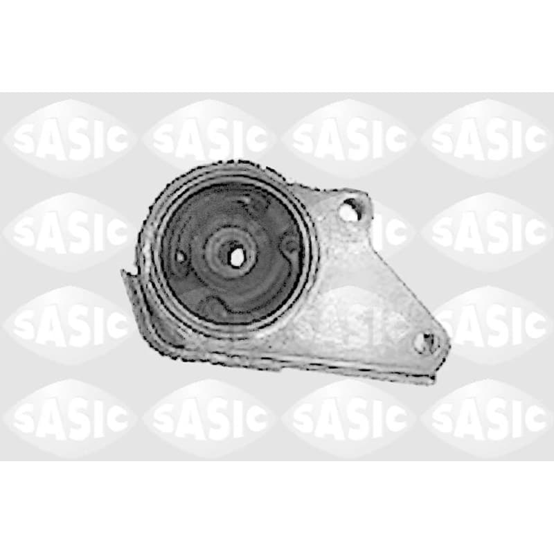 SASIC variklio montavimas 8431611