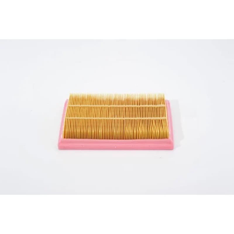 BOSCH 1 457 433 593 oro filtras