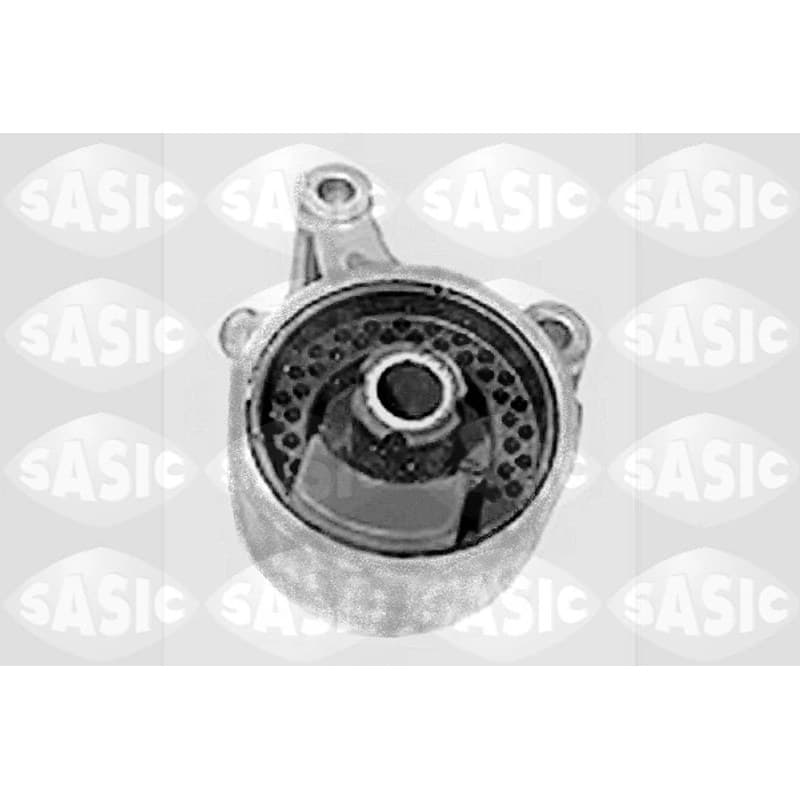 SASIC variklio montavimas 9001674