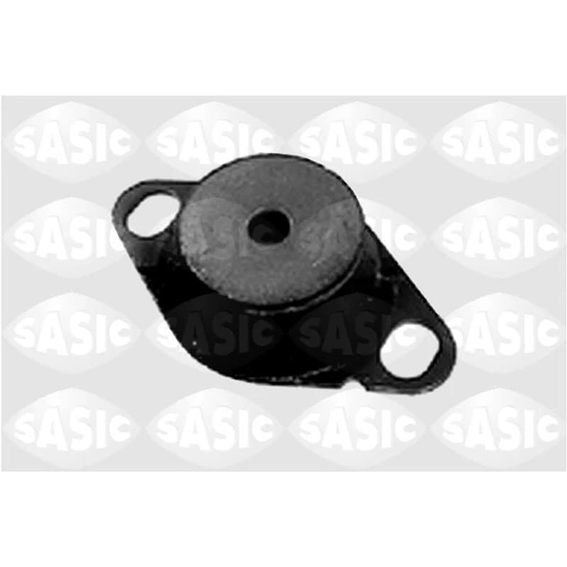 SASIC variklio montavimas 4001370