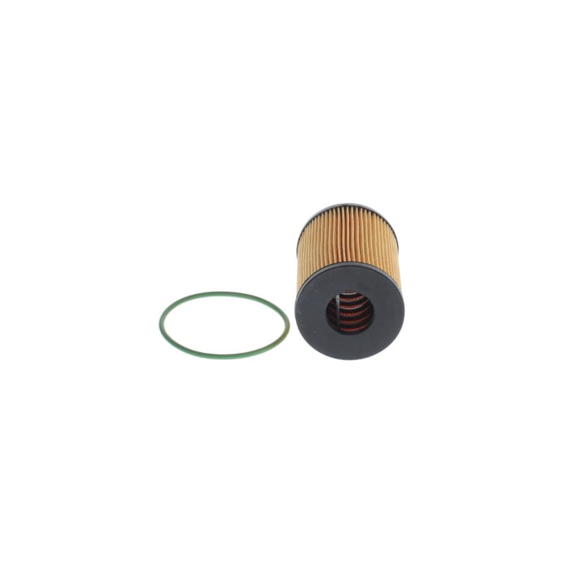 BOSCH F 026 407 367 alyvos filtras