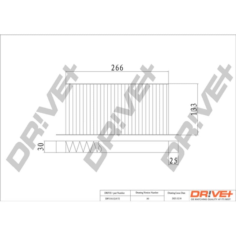 DRVE filtras, salono oras DP1110.12.0172
