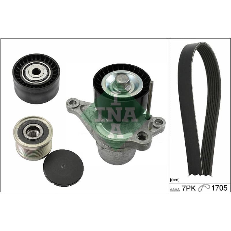 SCHAEFFLERINA V formos rumbuotas diržas, komplektas 529 0423 20