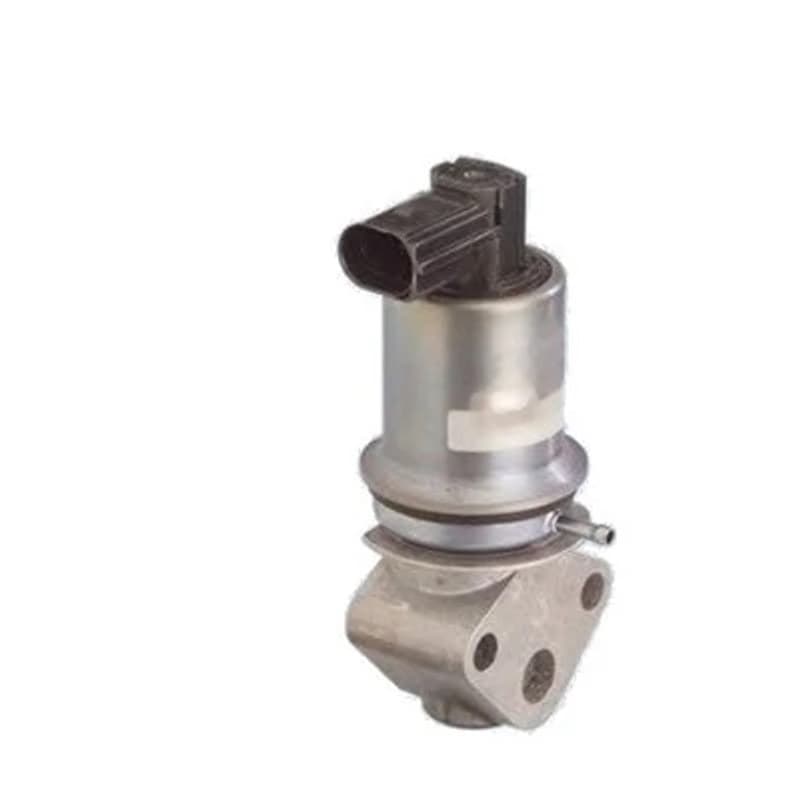 MAGNETIMARELLI ERG vožtuvas 571822112011