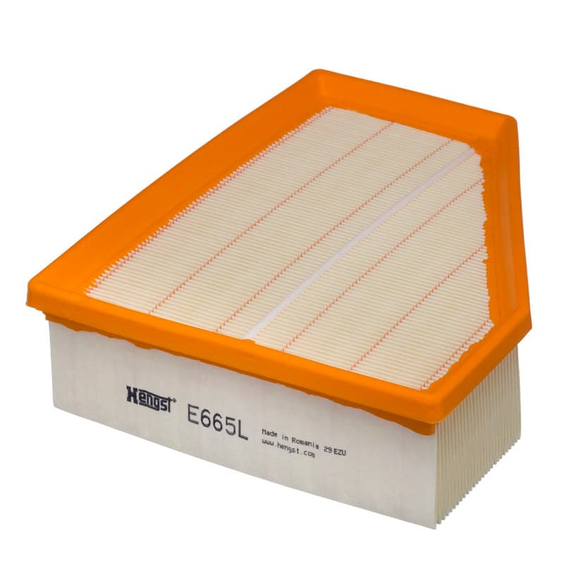 HENGSTFILTER oro filtras E665L