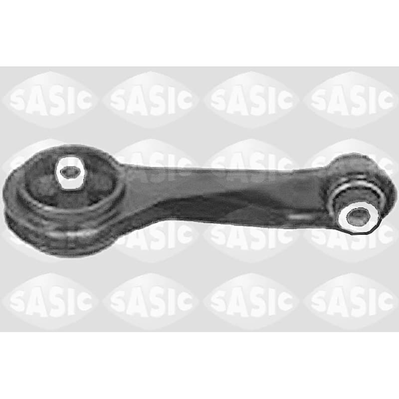 SASIC variklio montavimas 4001805