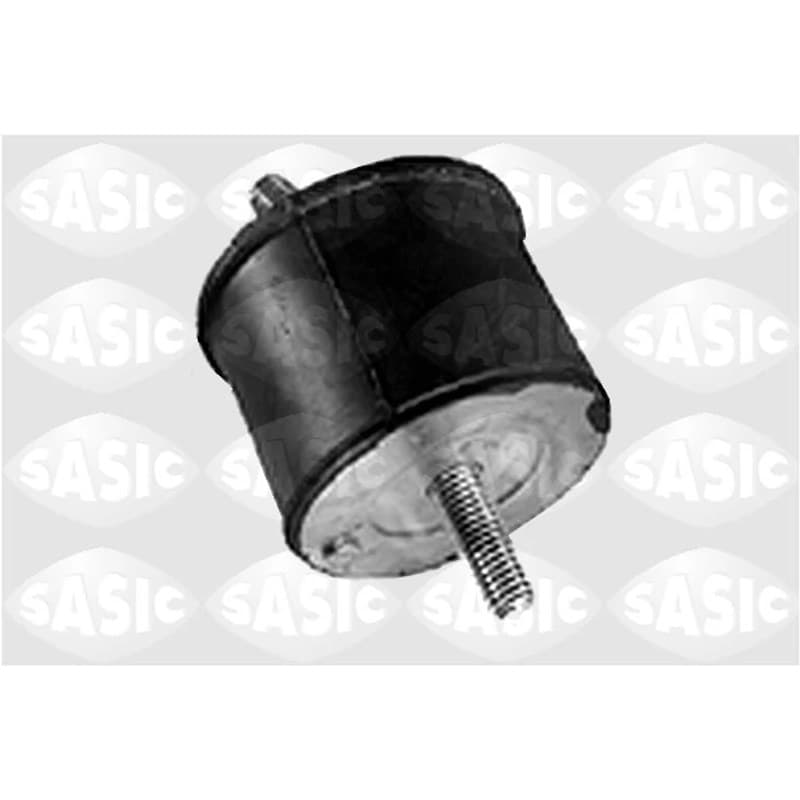 SASIC variklio montavimas 4001358