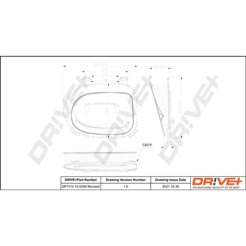DRVE DP1110.10.0256 oro filtras