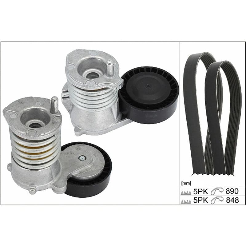SCHAEFFLERINA V formos rumbuotas diržas, komplektas 529 0477 10