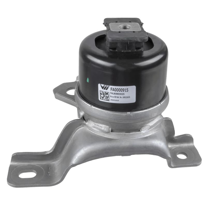 LEMFRDER variklio montavimas 45543 01