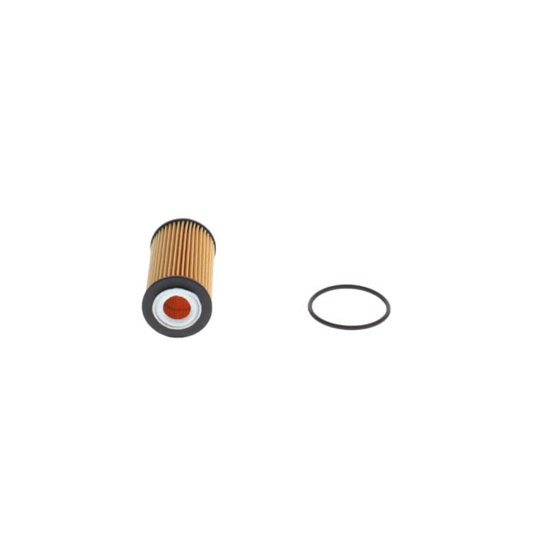 BOSCH F 026 407 298 alyvos filtras