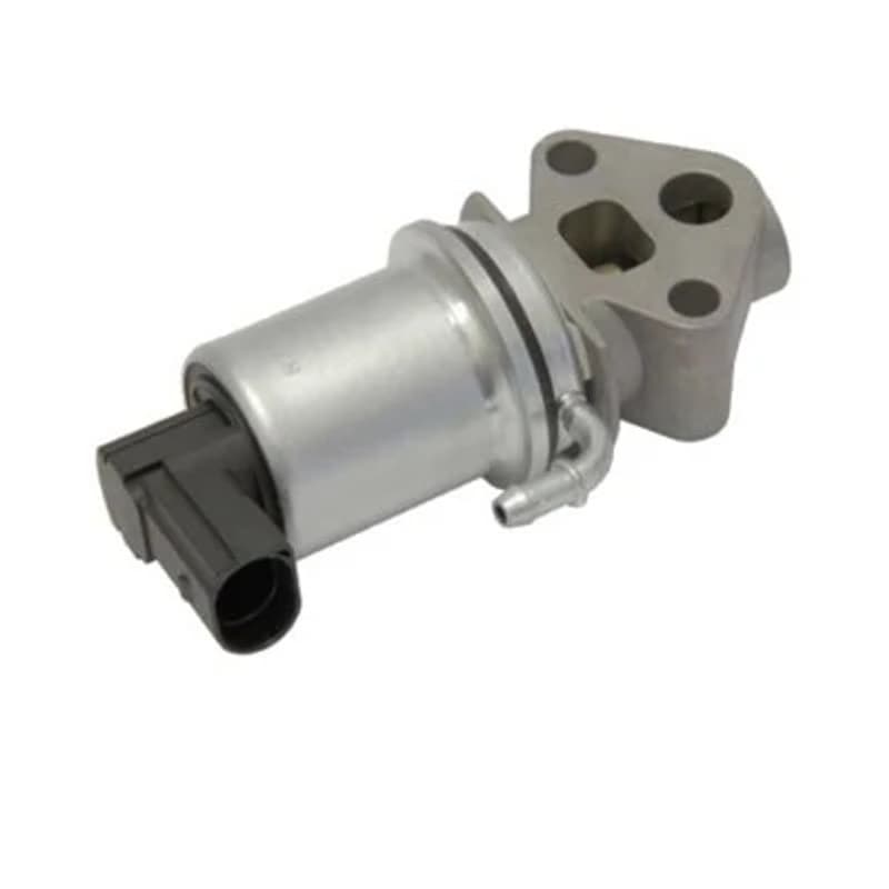MAGNETIMARELLI ERG vožtuvas 571822112020