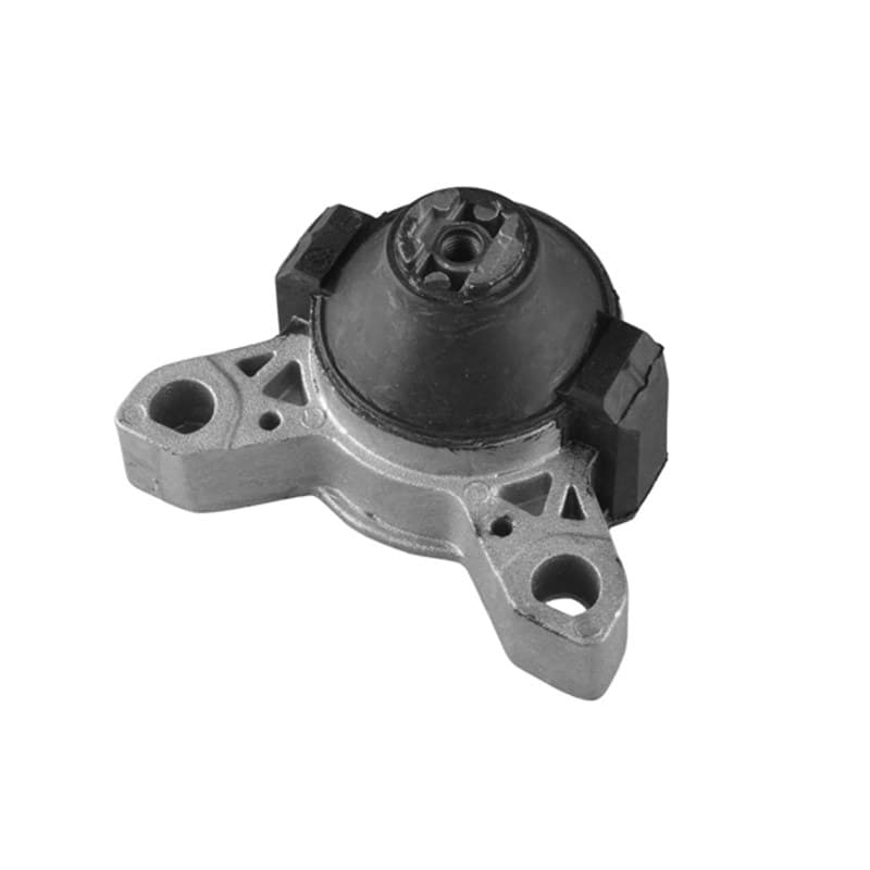 TEDGUM variklio montavimas 00222724