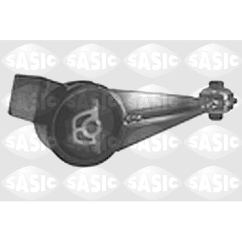 SASIC variklio montavimas 8061521