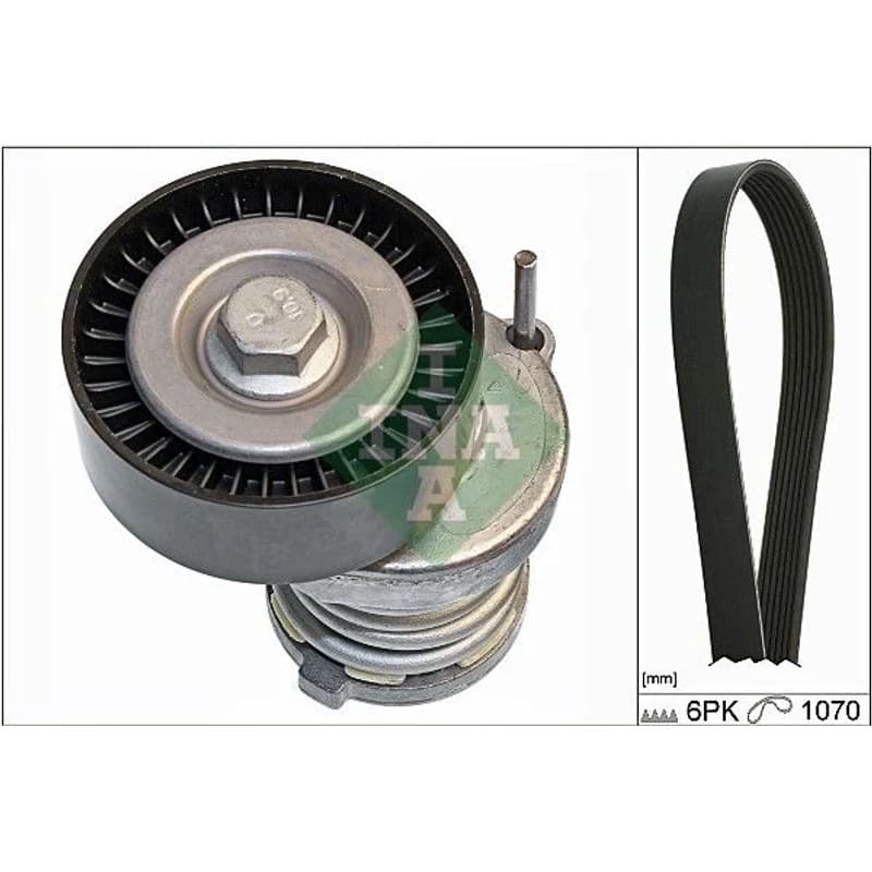 SCHAEFFLERINA V formos rumbuotas diržas, komplektas 529 0084 10