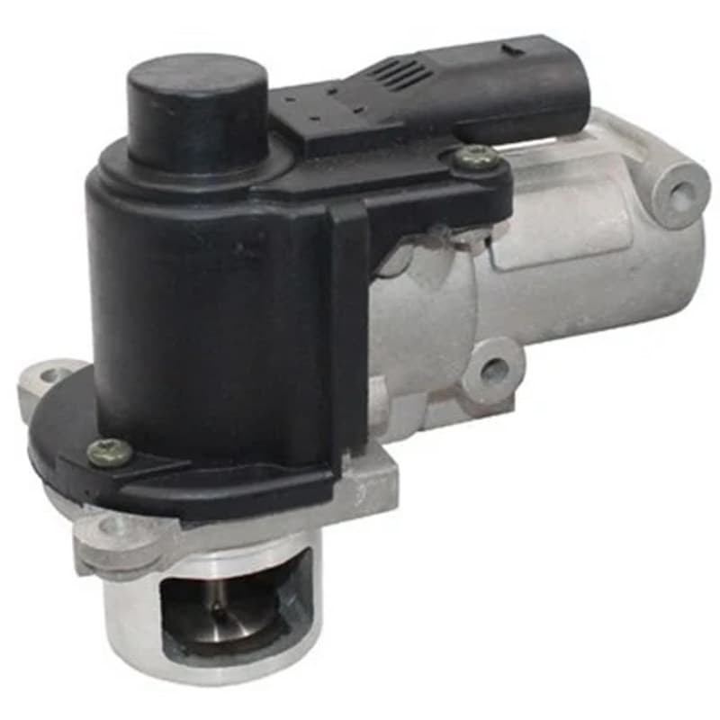 MAGNETIMARELLI ERG vožtuvas 571822112083