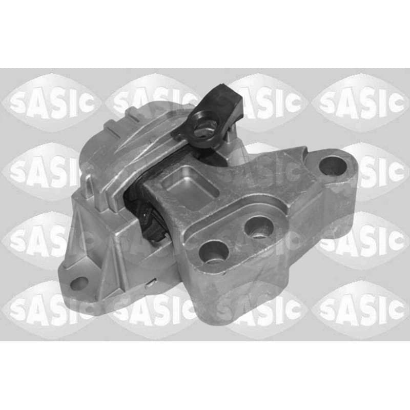 SASIC variklio montavimas 2706705