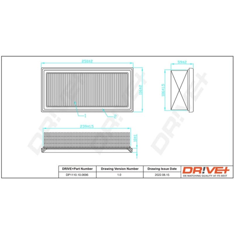 DRVE oro filtras DP1110.10.0696