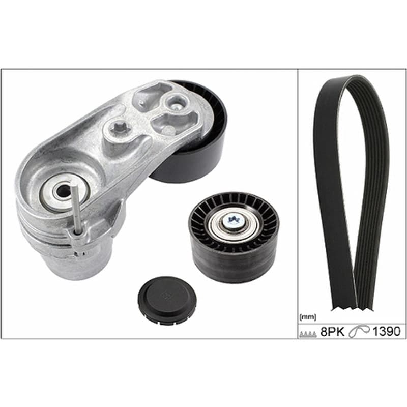 SCHAEFFLERINA V formos rumbuotas diržas, komplektas 529 0210 10