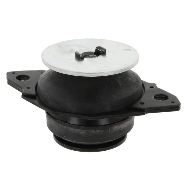 CORTECO montavimas, automatinė transmisija 80000213