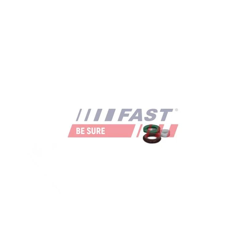 FAST remonto komplektas, siurblio-purkštukų blokas FT01835