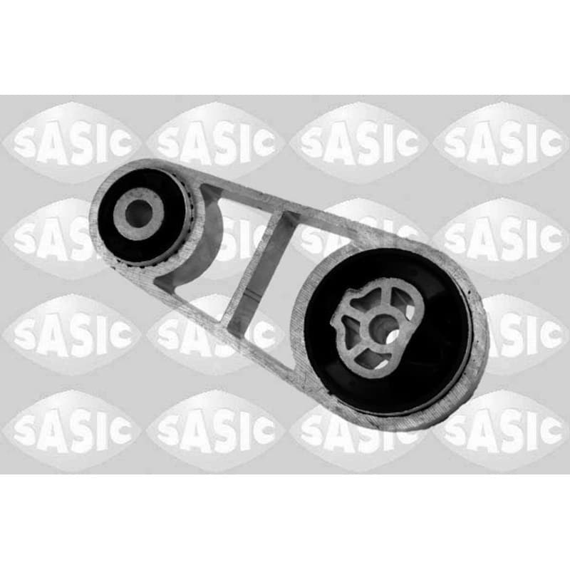 SASIC variklio montavimas 2706425