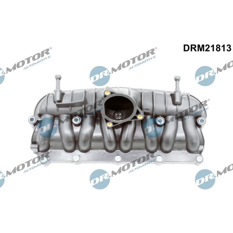 DRMOTORAUTOMOTIVE įsiurbimo kolektoriaus modulis DRM21813