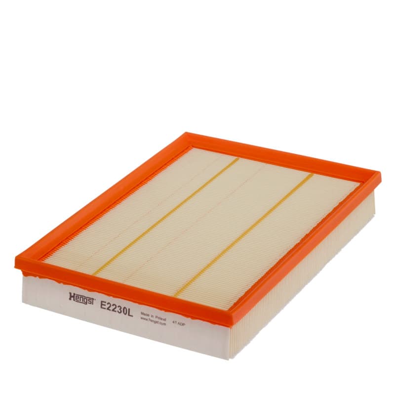 HENGSTFILTER oro filtras E2230L