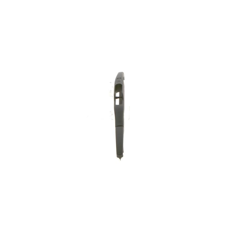 BOSCH 3 397 004 801 valytuvai