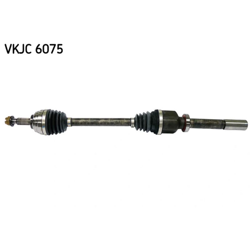SKF VKJC 6075 pusašis