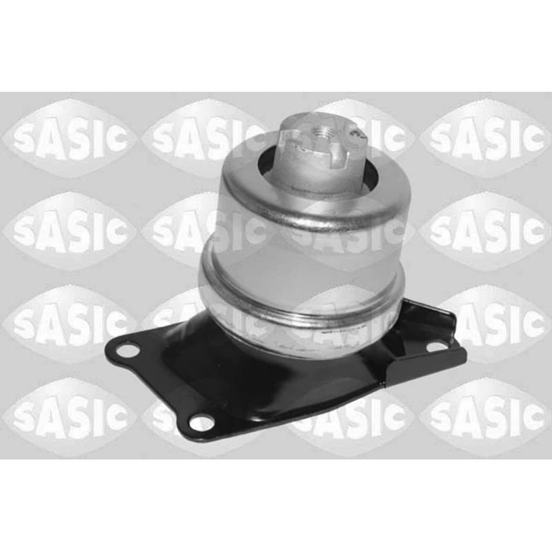 SASIC variklio montavimas 2706555