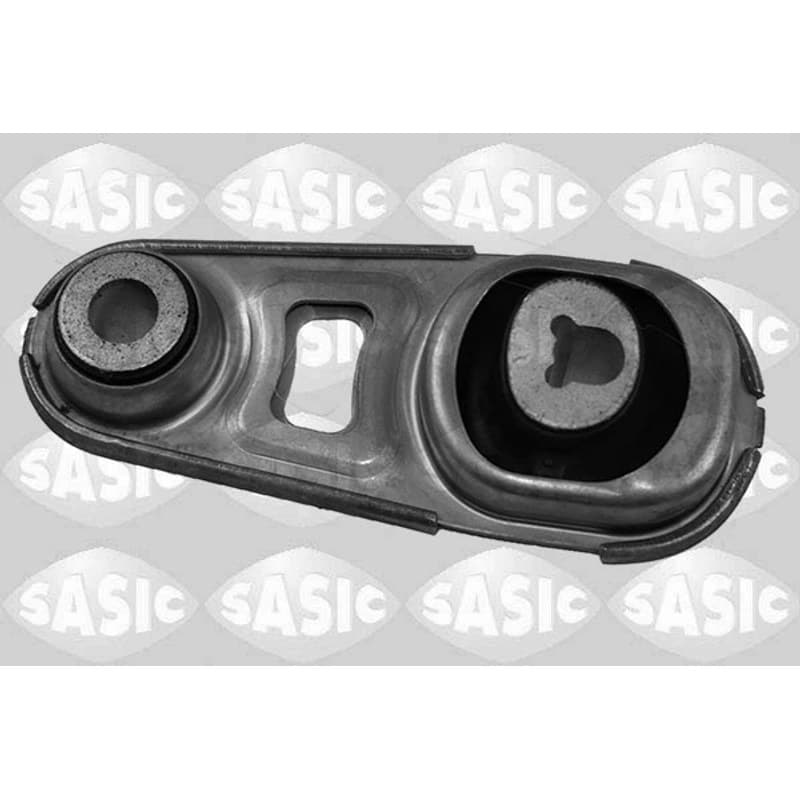 SASIC variklio montavimas 2704113