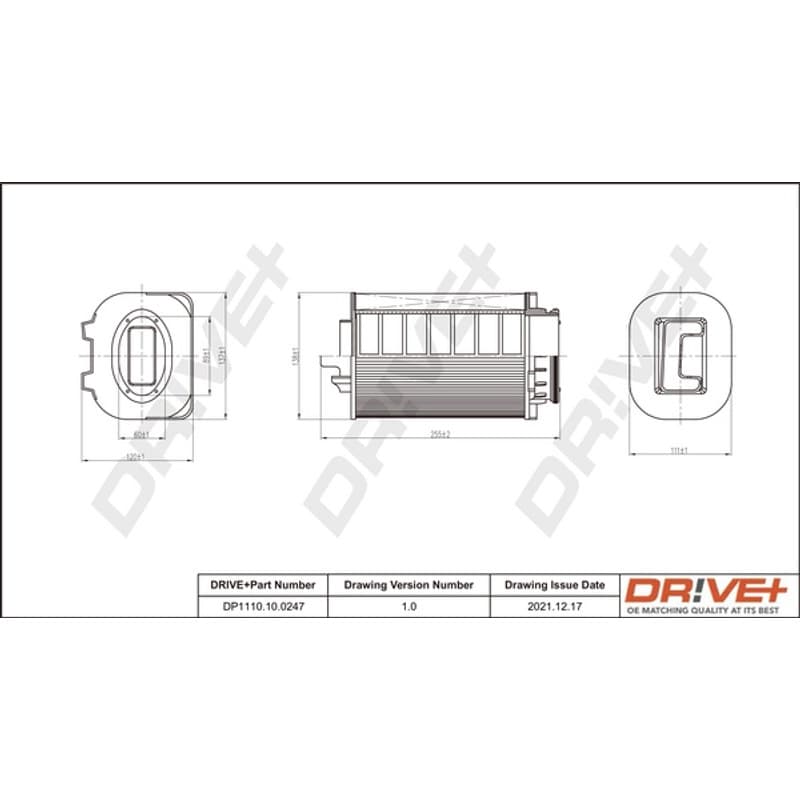 DRVE oro filtras DP1110.10.0247