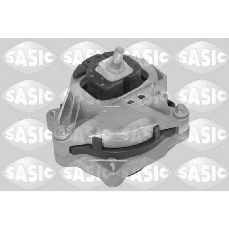 SASIC variklio montavimas 2706695